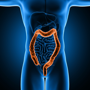 Gastro Intestinal Surgery